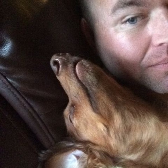 Meet your Posher, Dan - Picture 1 of 1